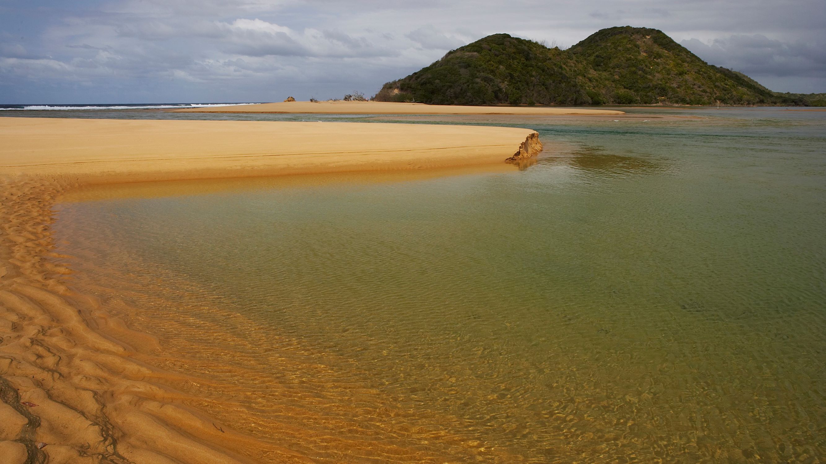 Kosi Forest Mouth