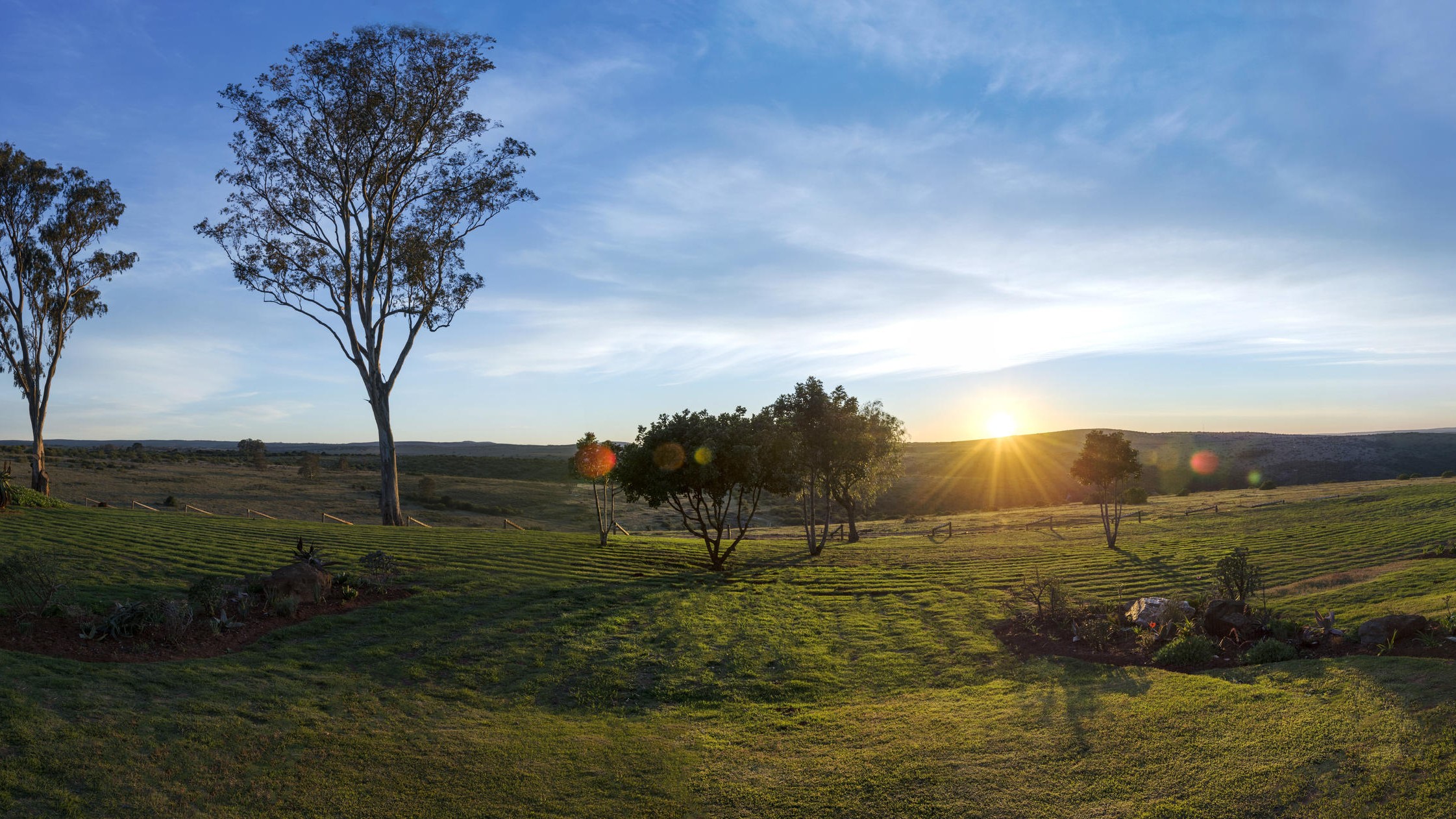 Landscape - resize