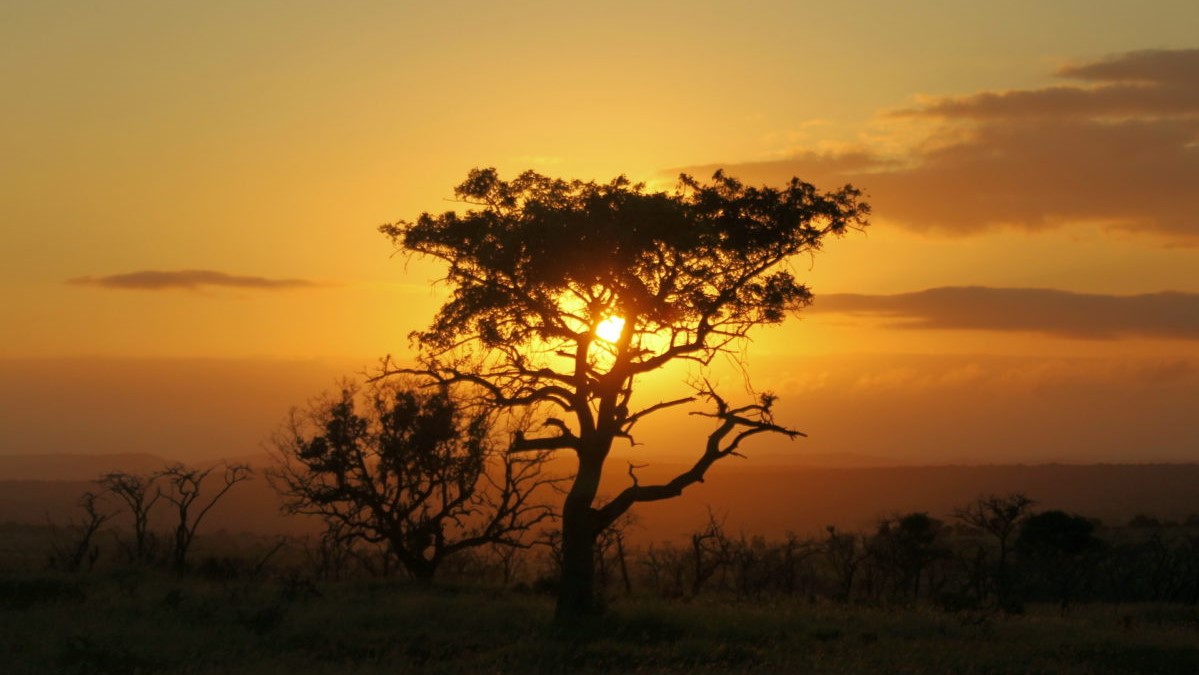 Thanda Sunset